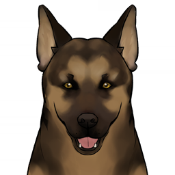 Cão de Pelos Negros