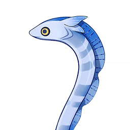 Anguila adornada