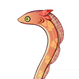 Anguila de aleta roja