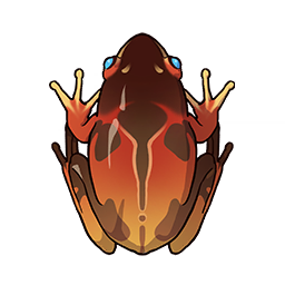 Dschungelfrosch