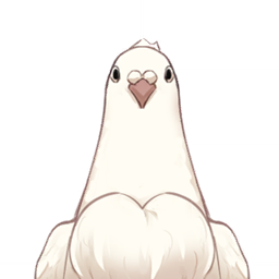 Piccione bianco