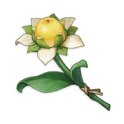 Zuckerblume