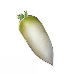白萝卜