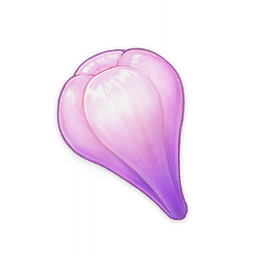 Amakumo Fruit