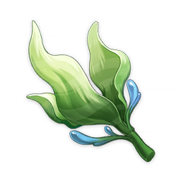 Alga