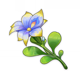 Pluie Lotus