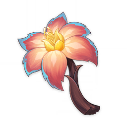 灼灼彩菊