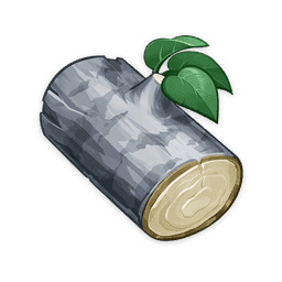 Silbertannenholz
