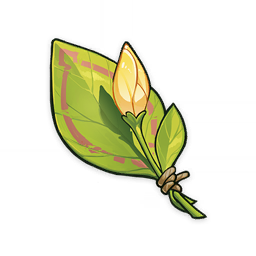 A Flower Yet to Bloom