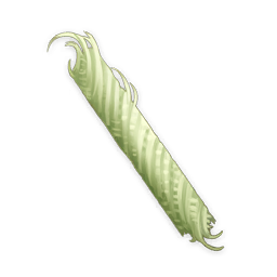 Fibra de Lanterna